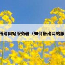 如何搭建网站服务器（如何搭建网站服务器）
