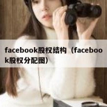 facebook股权结构（facebook股权分配图）