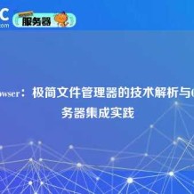 FileBrowser：极简文件管理器的技术解析与Ciuic服务器集成实践