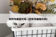 如何写编程代码（怎样写编程代码）