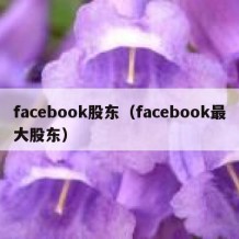 facebook股东（facebook最大股东）