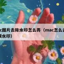 mac图片去除水印怎么弄（mac怎么去除视频水印）