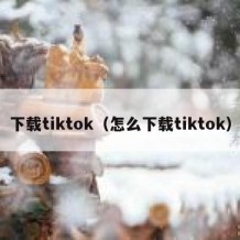 下载tiktok（怎么下载tiktok）