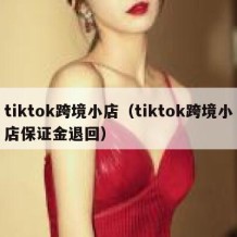 tiktok跨境小店（tiktok跨境小店保证金退回）