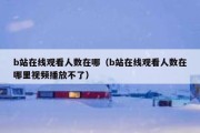 b站在线观看人数在哪（b站在线观看人数在哪里视频播放不了）