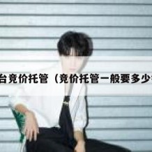 邢台竞价托管（竞价托管一般要多少钱）