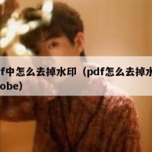 pdf中怎么去掉水印（pdf怎么去掉水印adobe）