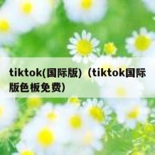 tiktok(国际版)（tiktok国际版色板免费）