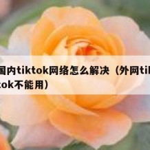 国内tiktok网络怎么解决（外网tiktok不能用）