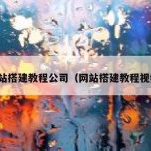 网站搭建教程公司（网站搭建教程视频）