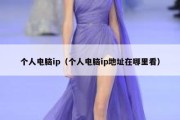 个人电脑ip（个人电脑ip地址在哪里看）