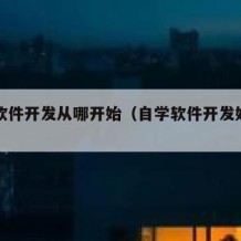 自学软件开发从哪开始（自学软件开发好学吗）