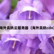 海外高防云服务器（海外高防cdn）