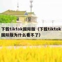 下载tiktok国际版（下载tiktok国际版为什么看不了）