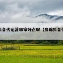 辽阳抖音代运营哪家好点呢（盘锦抖音代运营）
