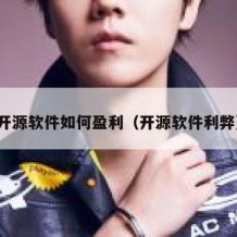 开源软件如何盈利（开源软件利弊）