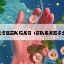自己搭建高防服务器（高防服务器多少钱）