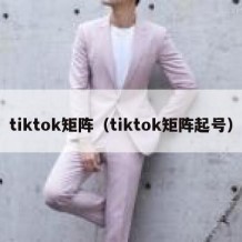 tiktok矩阵（tiktok矩阵起号）