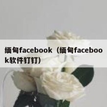 缅甸facebook（缅甸facebook软件钉钉）