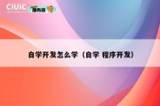 自学开发怎么学（自学 程序开发）