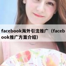 facebook海外引流推广（facebook推广方案介绍）
