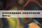 自学软件开发能就业吗（如何自学开发软件需要学什么）