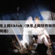 快乐上网tiktok（快乐上网软件如何连接网络）