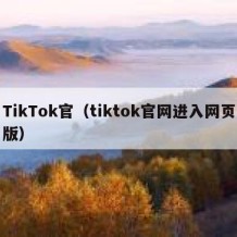 TikTok官（tiktok官网进入网页版）