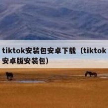 tiktok安装包安卓下载（tiktok安卓版安装包）