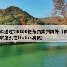 怎么通过tiktok把东西卖到国外（国内商家怎么在tiktok卖货）