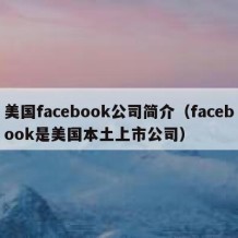 美国facebook公司简介（facebook是美国本土上市公司）