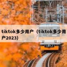 tiktok多少用户（tiktok多少用户2023）