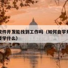 自学软件开发能找到工作吗（如何自学开发软件需要学什么）