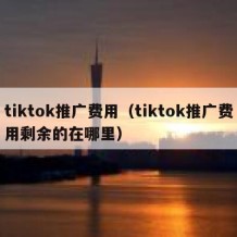tiktok推广费用（tiktok推广费用剩余的在哪里）