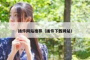 插件网站推荐（插件下载网站）