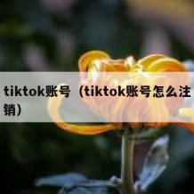 tiktok账号（tiktok账号怎么注销）