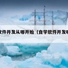 自学软件开发从哪开始（自学软件开发哪些书籍）