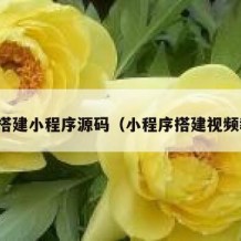 如何搭建小程序源码（小程序搭建视频教程）