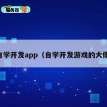 自学开发app（自学开发游戏的大佬）