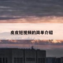 皮皮短视频的简单介绍