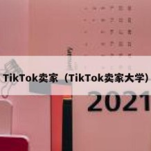 TikTok卖家（TikTok卖家大学）