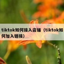 tiktok如何接入店铺（tiktok如何加入链接）