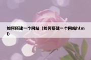 如何搭建一个网站（如何搭建一个网站html）
