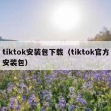 tiktok安装包下载（tiktok官方安装包）