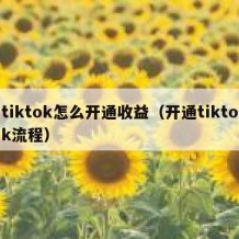 tiktok怎么开通收益（开通tiktok流程）