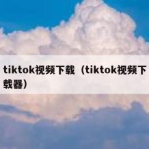 tiktok视频下载（tiktok视频下载器）