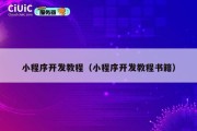 小程序开发教程（小程序开发教程书籍）