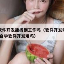 自学软件开发能找到工作吗（软件开发需要学什么!自学软件开发难吗）