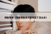 钱能钱包（钱能钱包支付密码忘了怎么办）