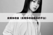 自媒体收益（自媒体收益最高的平台）